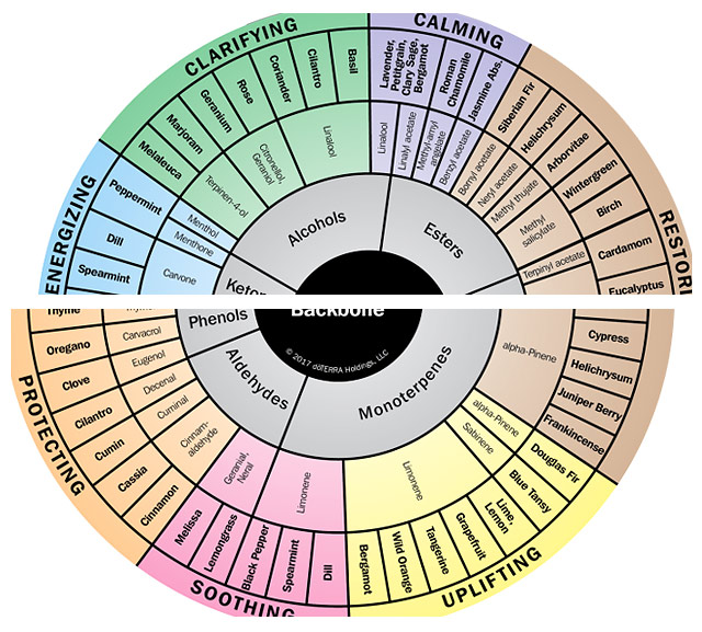 Essential-Oil-Use-wheel - new directions counseling
