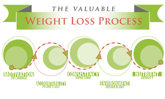 weight loss process - new directions nutrition counseling