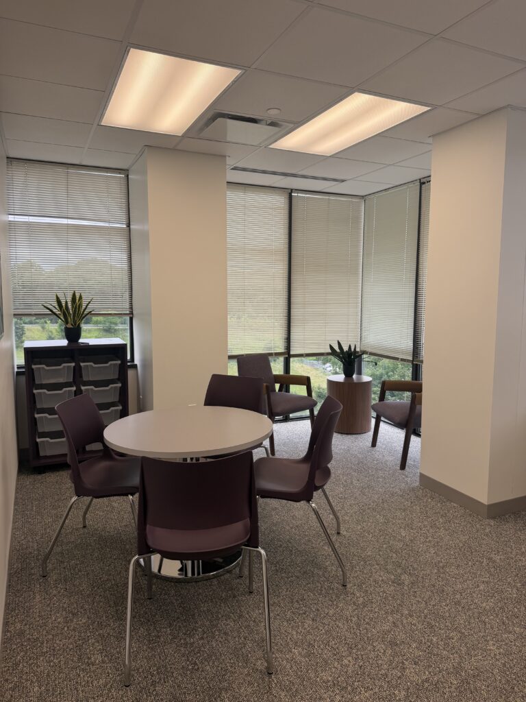 Children and Family Therapy Room