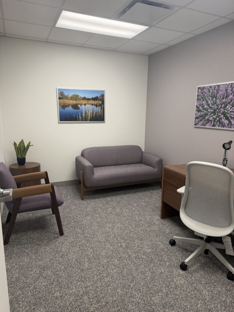 Therapy Office 2
