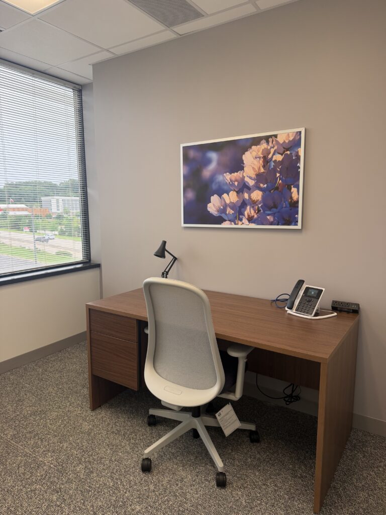 Therapy Office